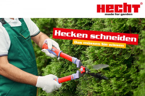 Hecke schneiden mit einer Astschere von Hecht