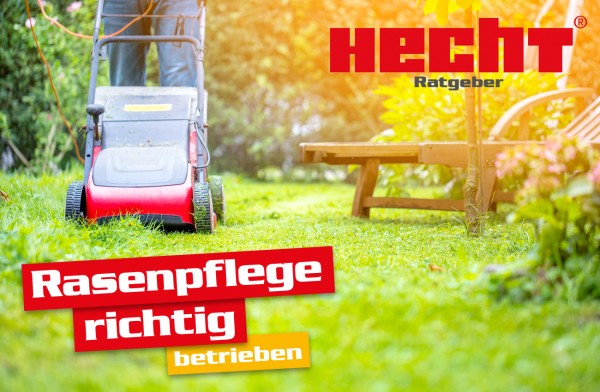 Die richtige Rasenpflege mit dem Hecht Rasenmäher. (Dieses Bild wurde mit Hilfe von KI generiert.)