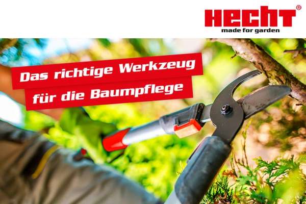 Das richtige Werkzeug für die Baumpflege