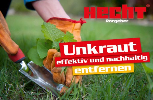 Unkraut effektiv und nachhaltig entfernen.