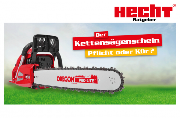 Hecht Kettensäge und die Frage: Kettensägeschein Pflicht oder Kür?