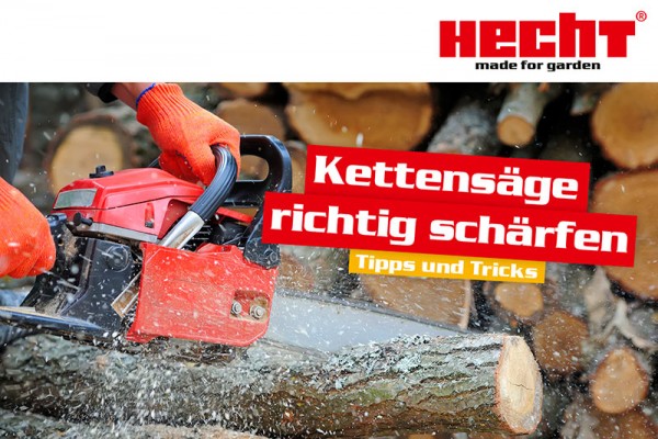 Kettensäge richtig schärfen – Tipps und Tricks